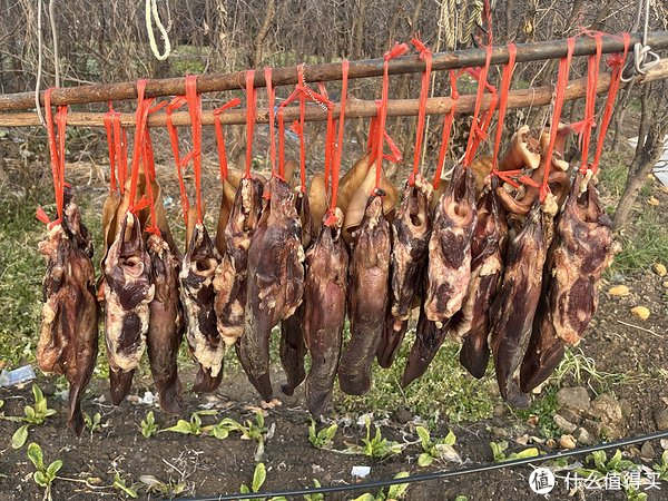 咸肉飄香新春到 冬日里的年味與鄉(xiāng)愁